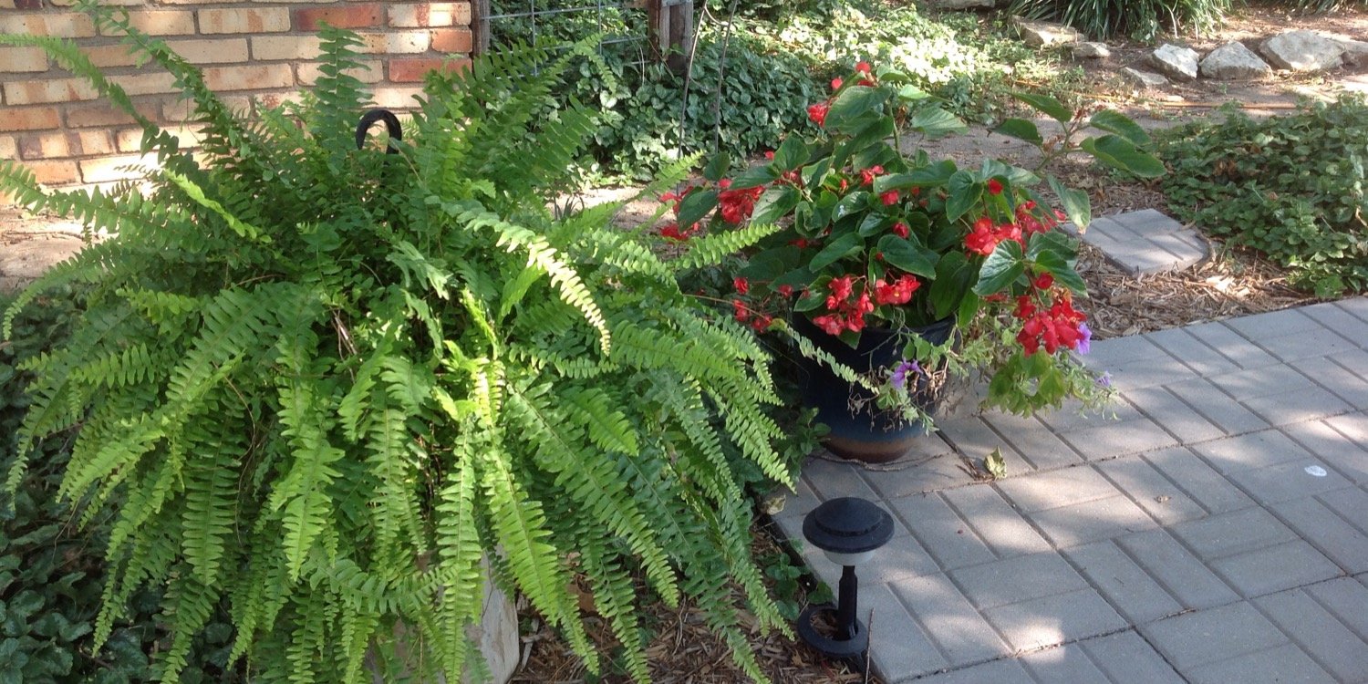 Jenise Ediger banner