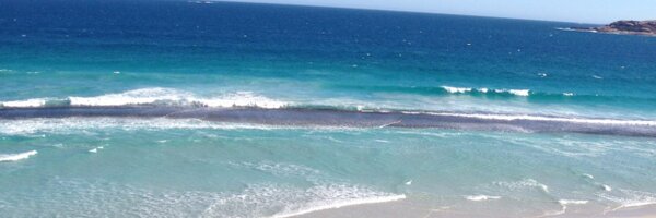 crasssky Profile Banner