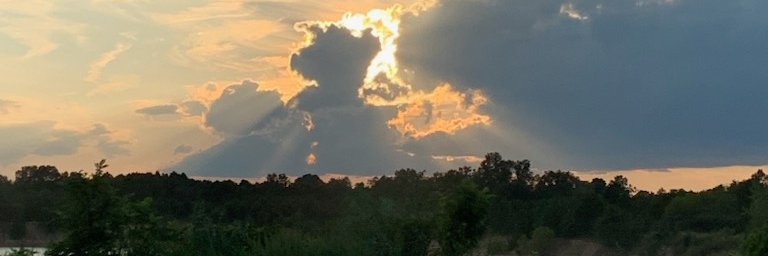 facciabrut's profile banner image