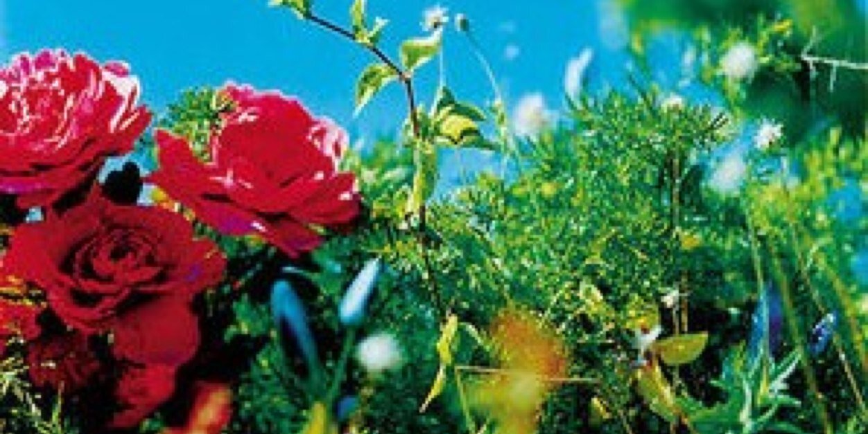 bro178923's profile banner image