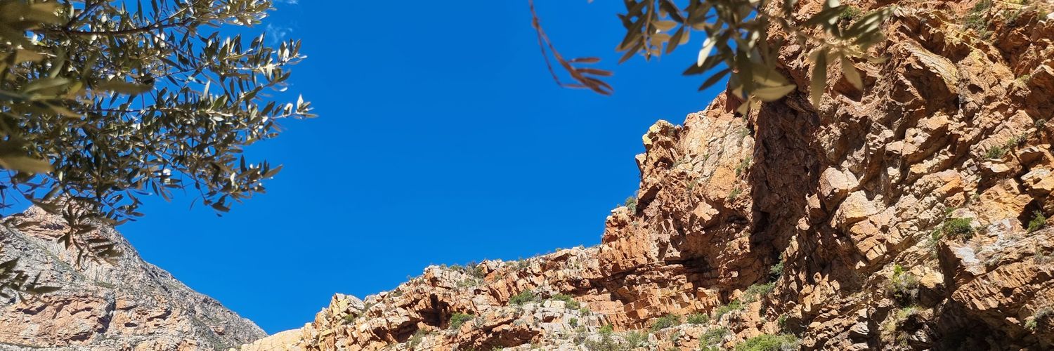 JeanEfflam's profile banner image