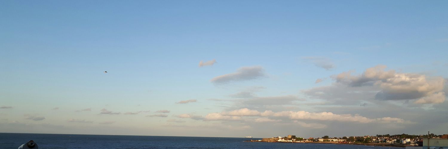 Osdefs 🏳️‍🌈🏳️‍⚧️🍉🇵🇸 banner