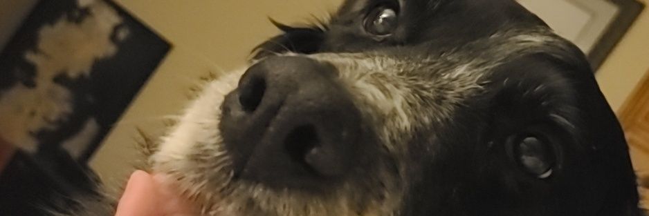 tchasepar's profile banner image