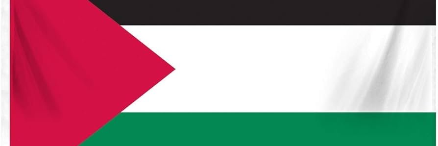 Steely Bosnian 🇧🇦 🇵🇸 banner