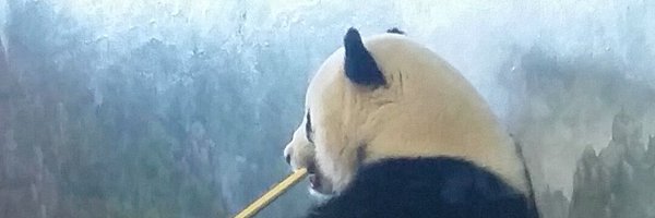 Overnight_Oates Profile Banner