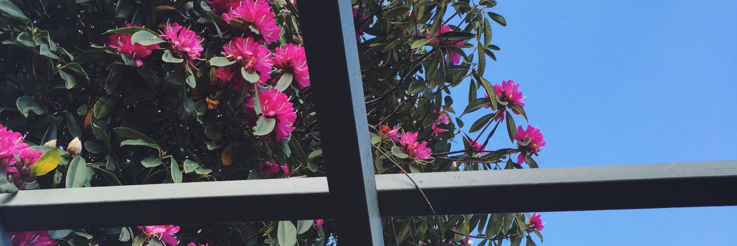 Spicy_Tee's profile banner image