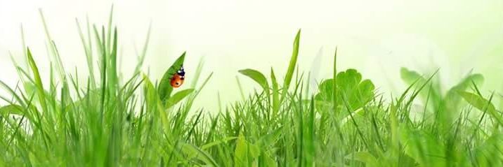 Bulle_Bio's profile banner image