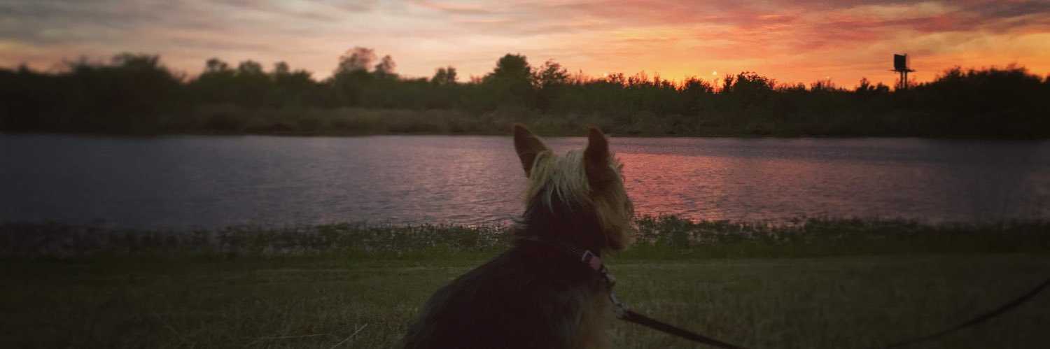 brookelenae_'s profile banner image