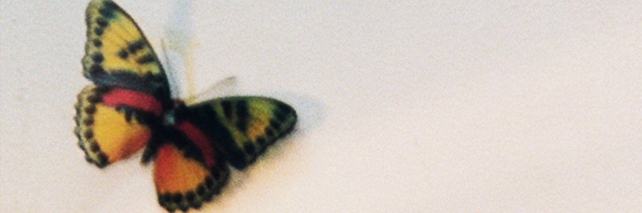 halpalllll's profile banner image