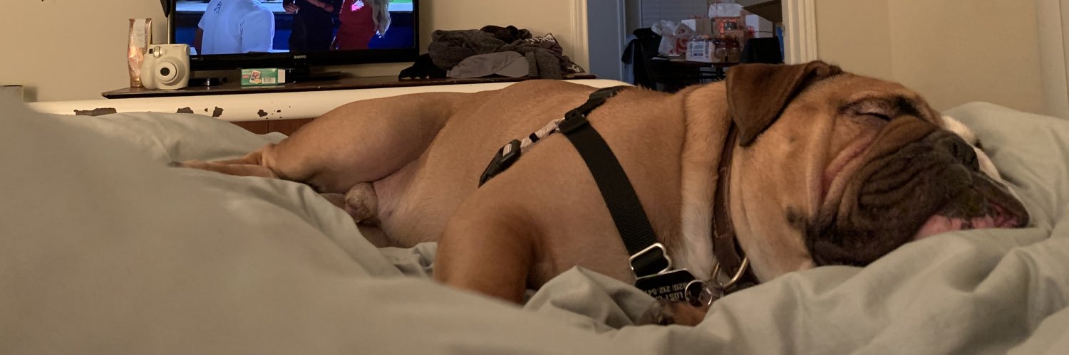 S A R A H⭐️ banner