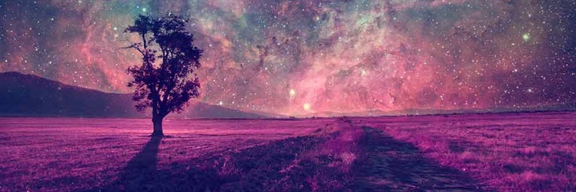 bernardchrysta1's profile banner image