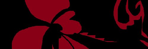 mutuki_ika's profile banner image