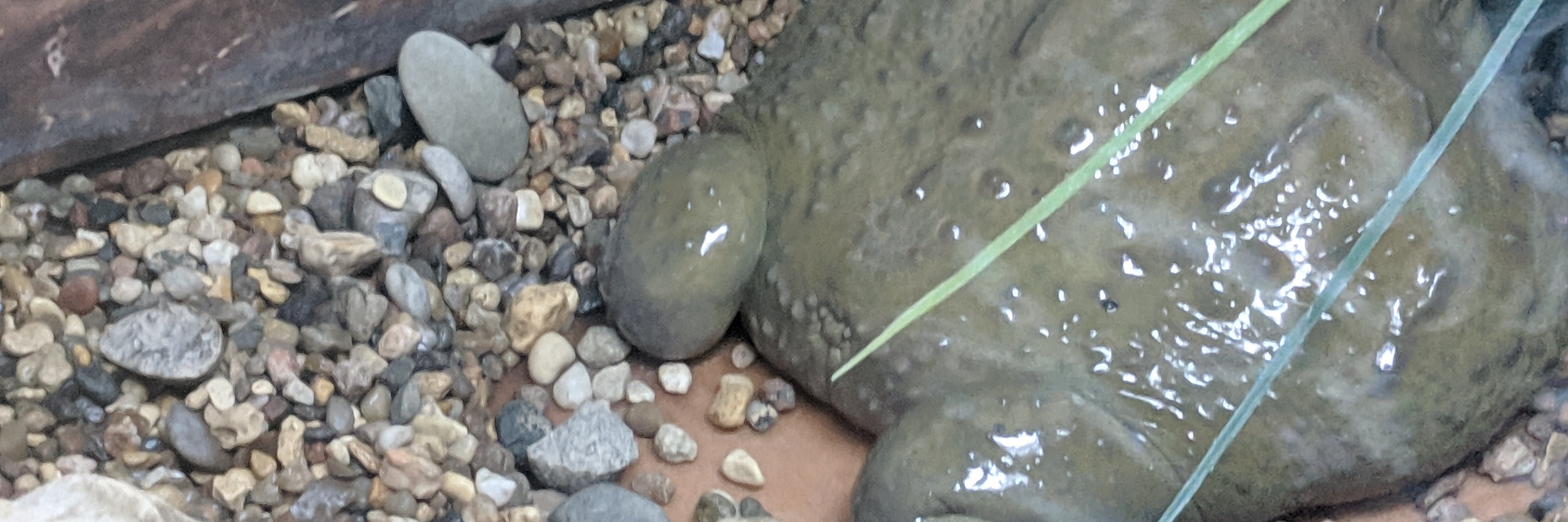 DoubtsDealer's profile banner image