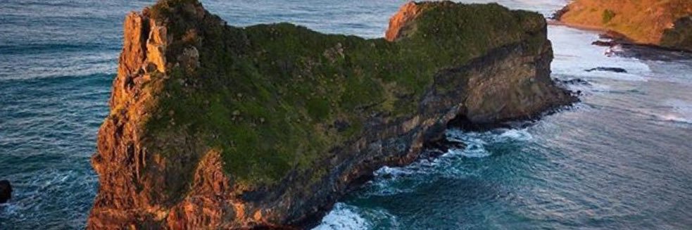 stemzo's profile banner image