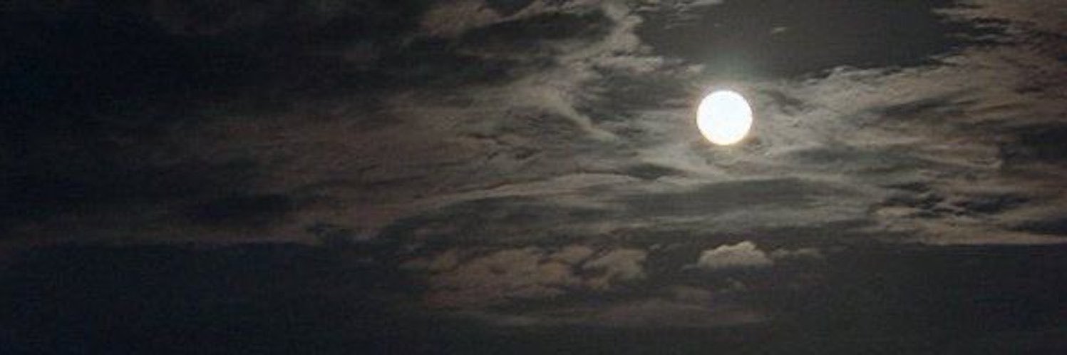 محمد العنزي🇰🇼⚖️ banner