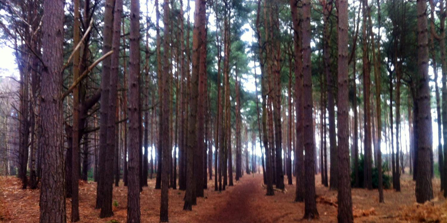 Caroline00Moore's profile banner image