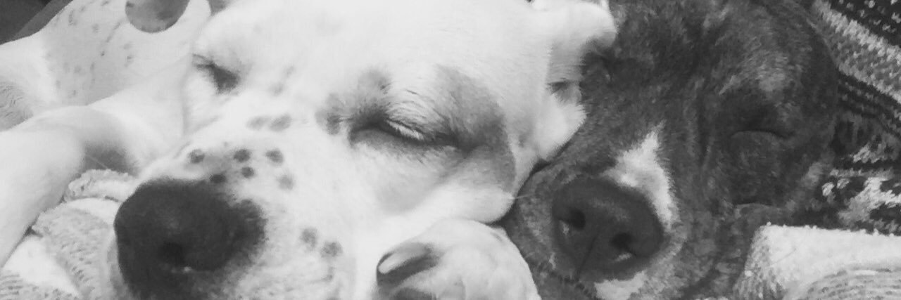 franks_k's profile banner image