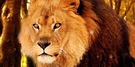 BoubaToni's profile banner image