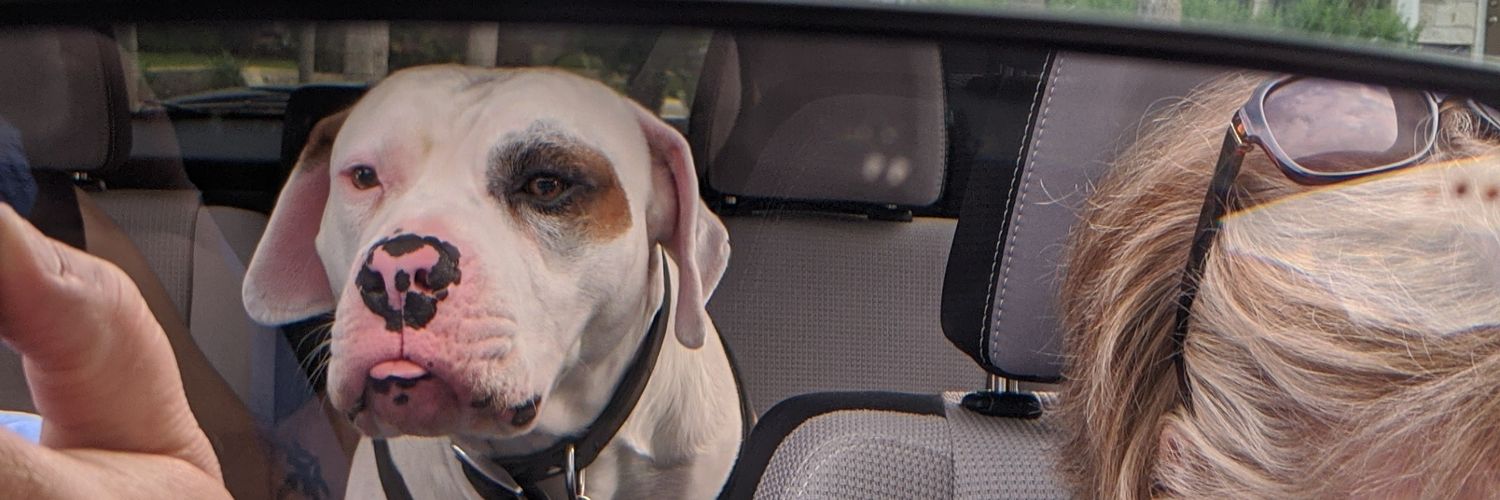 Terry Middleton banner