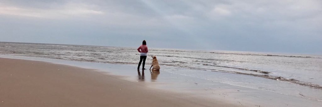 ___abbytaylor's profile banner image