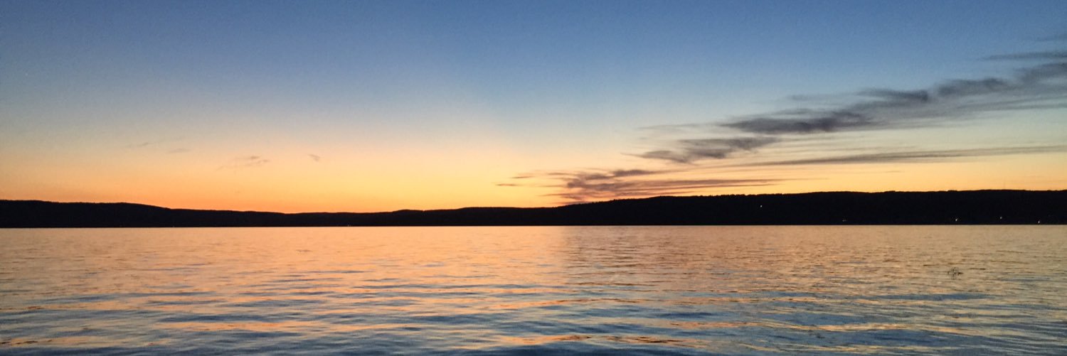 LivScheidler's profile banner image