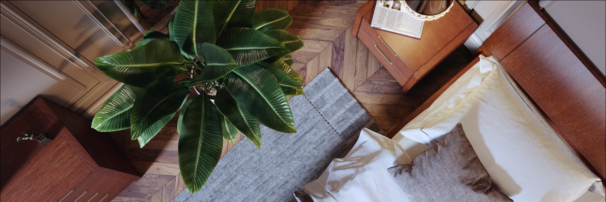 Mayerlinepl's profile banner image