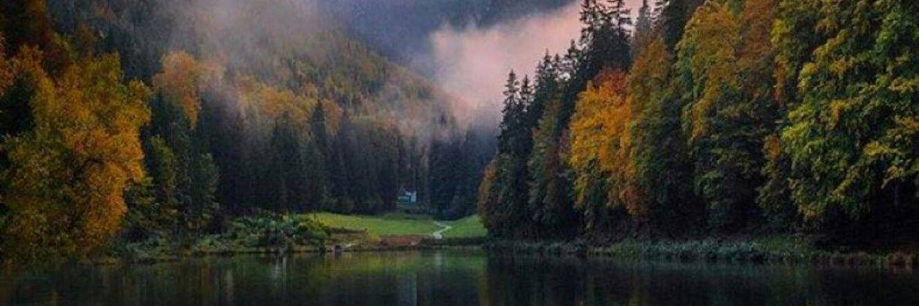 AmSaif231's profile banner image