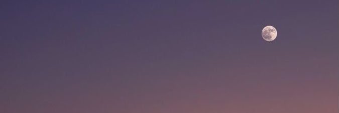 ANPnn333's profile banner image