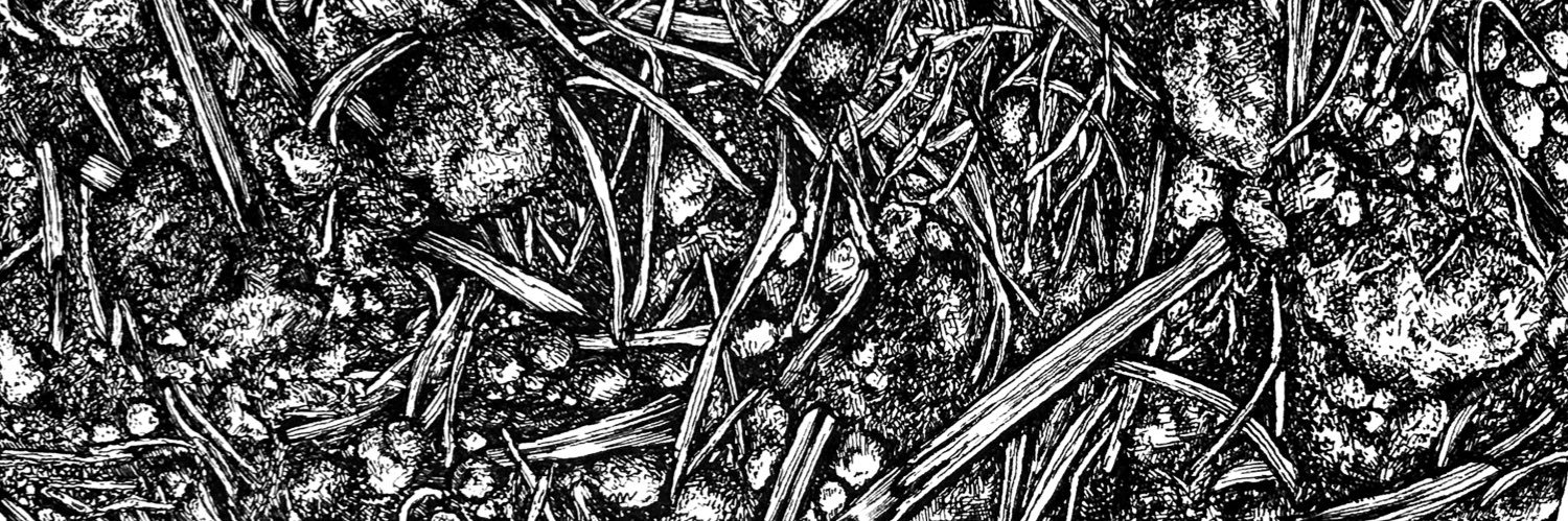 WestwellWines's profile banner image