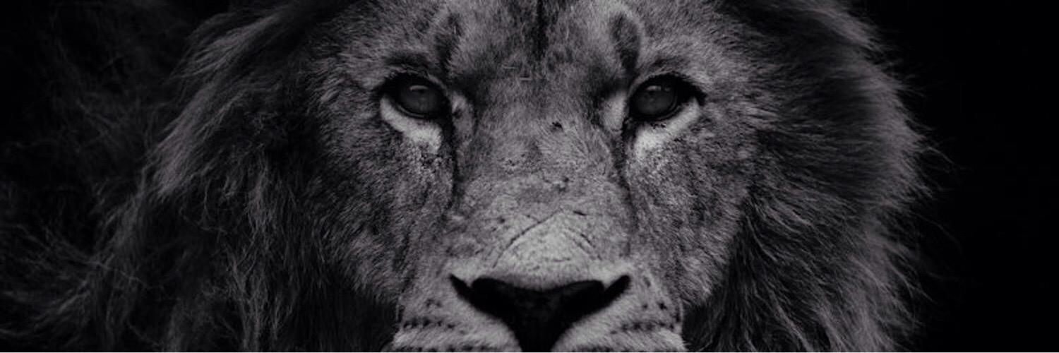 2constance's profile banner image
