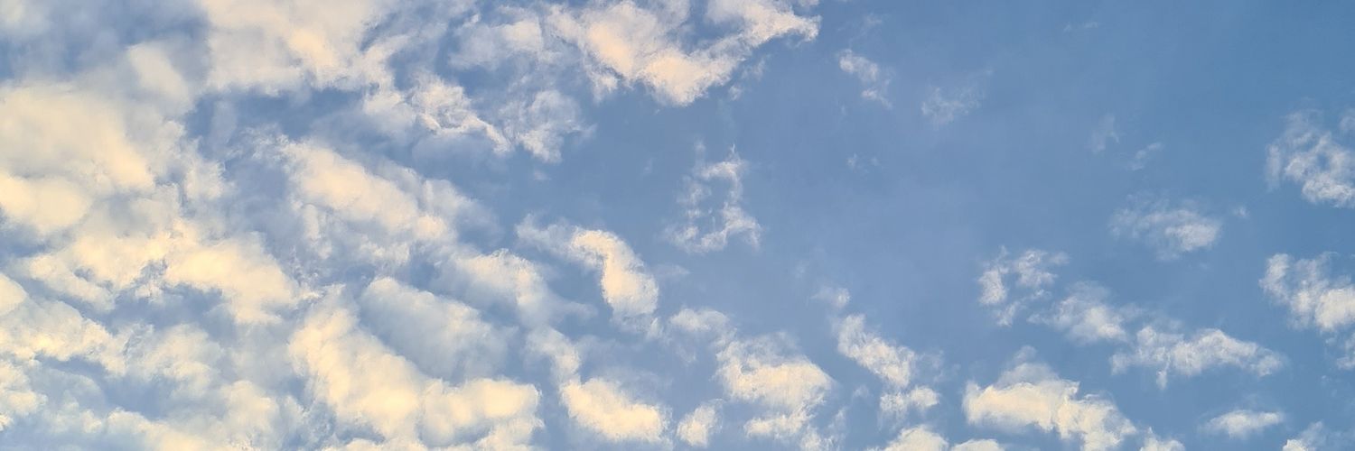 Aranana8's profile banner image