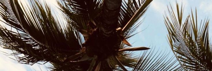 VarisesSatpam's profile banner image