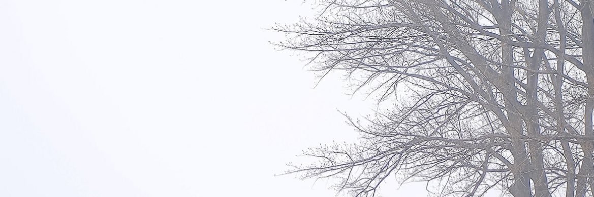 DevCHNN's profile banner image