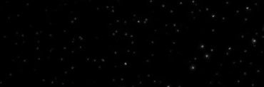 0xJoni's profile banner image