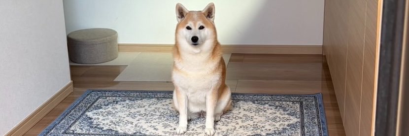 celery_lo's profile banner image