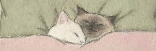 ildysbb's profile banner image