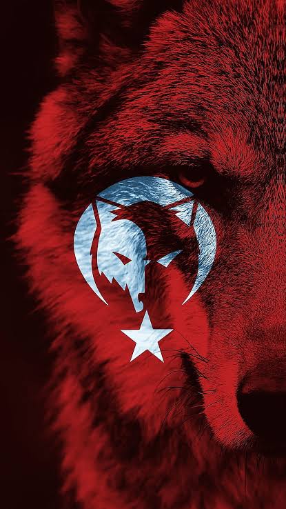 faydin29's profile banner image