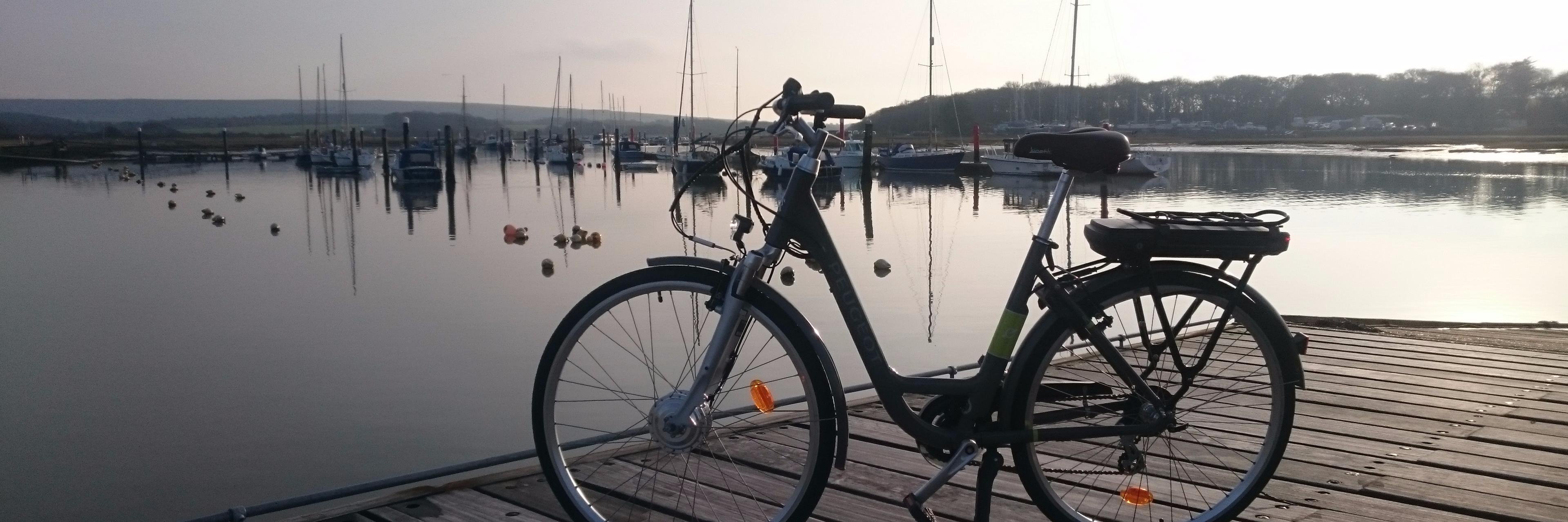 RedSquirrelBike's profile banner image