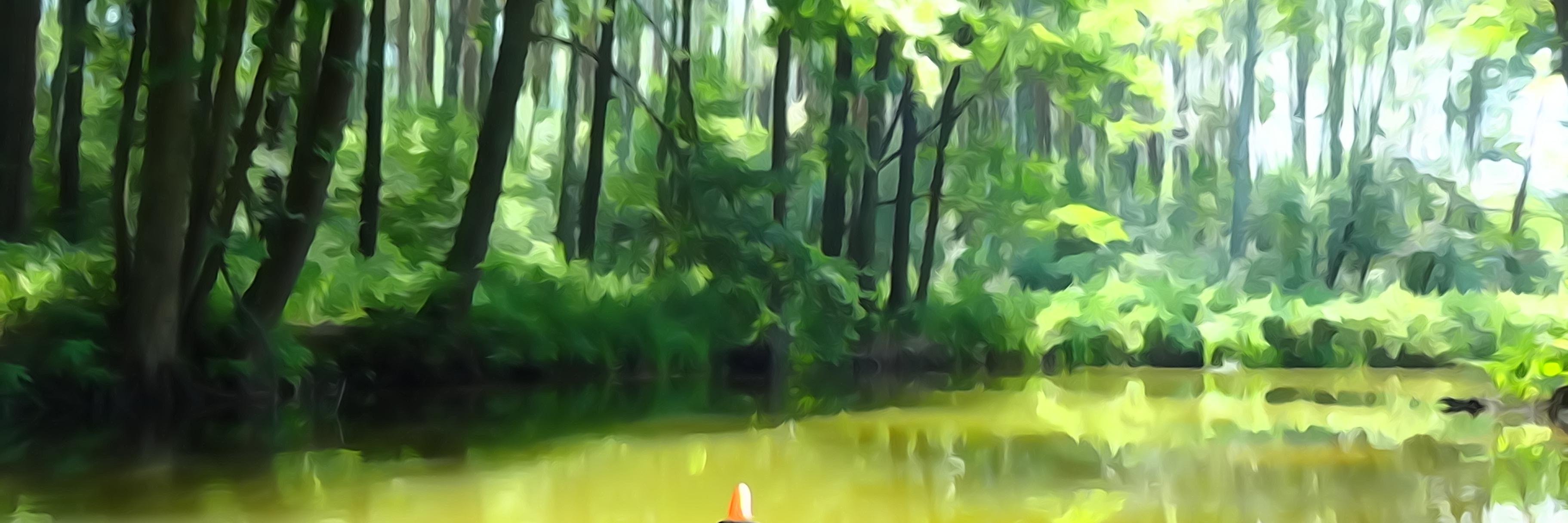 AliciaPerho's profile banner image
