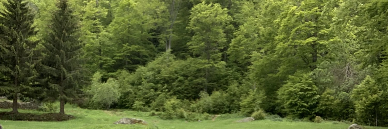 fgbn4571's profile banner image