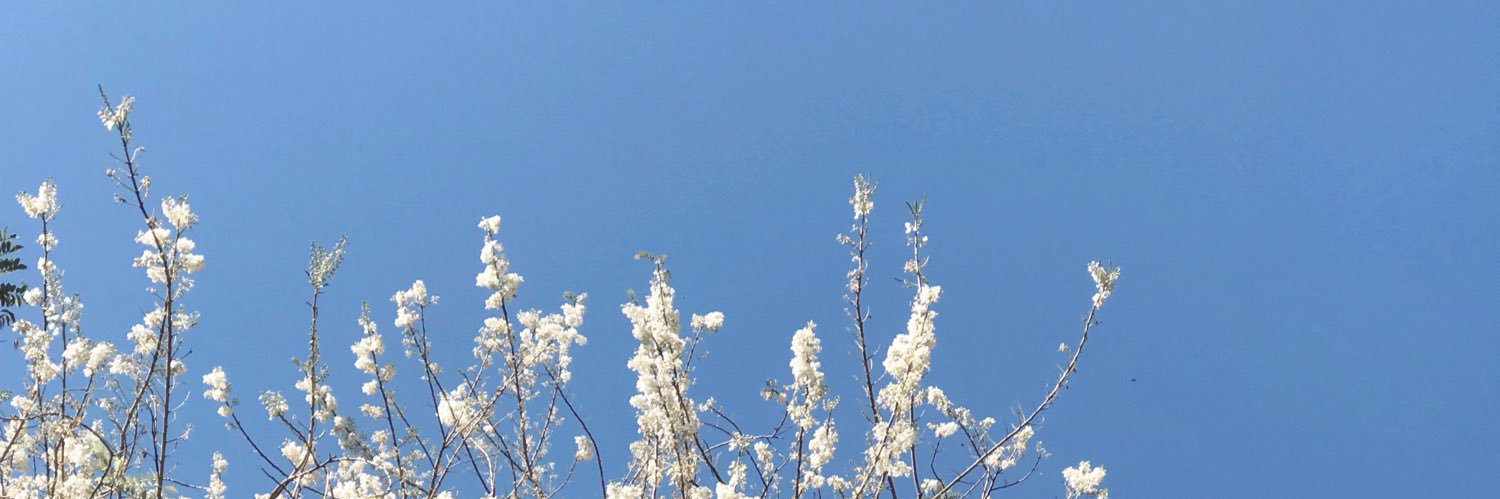 linly4345's profile banner image