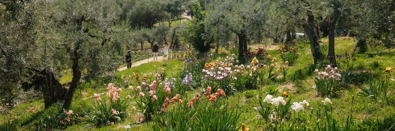 comunefi's profile banner image