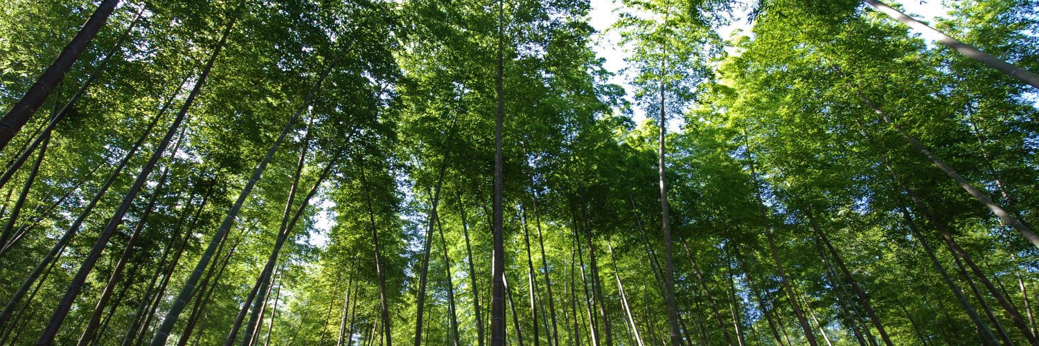 Charlotte King banner