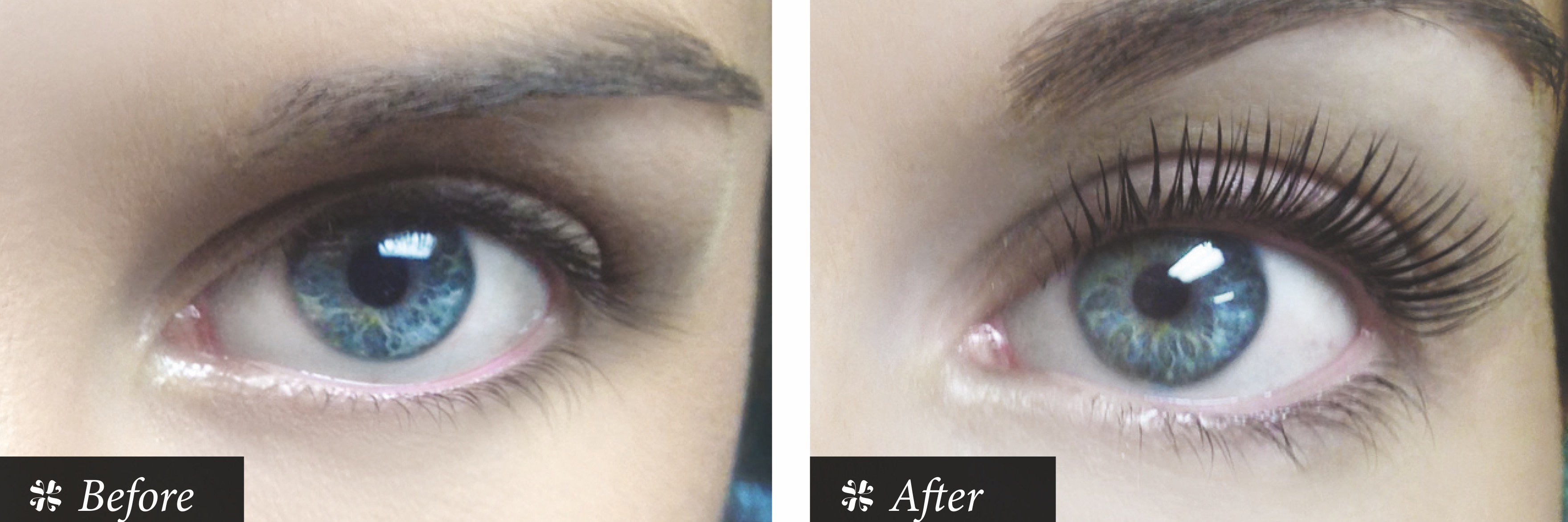 LashLift's profile banner image