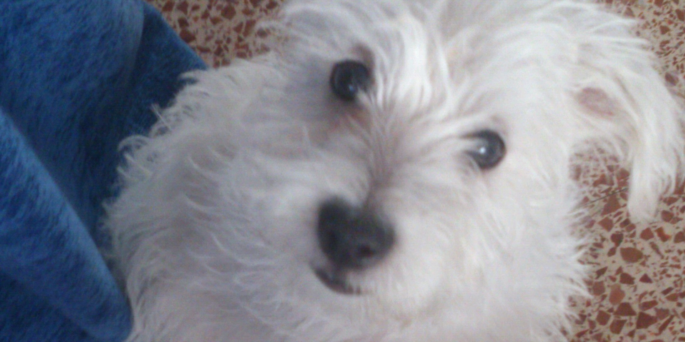 RaquelFernndez3's profile banner image