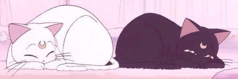 Fheichan's profile banner image