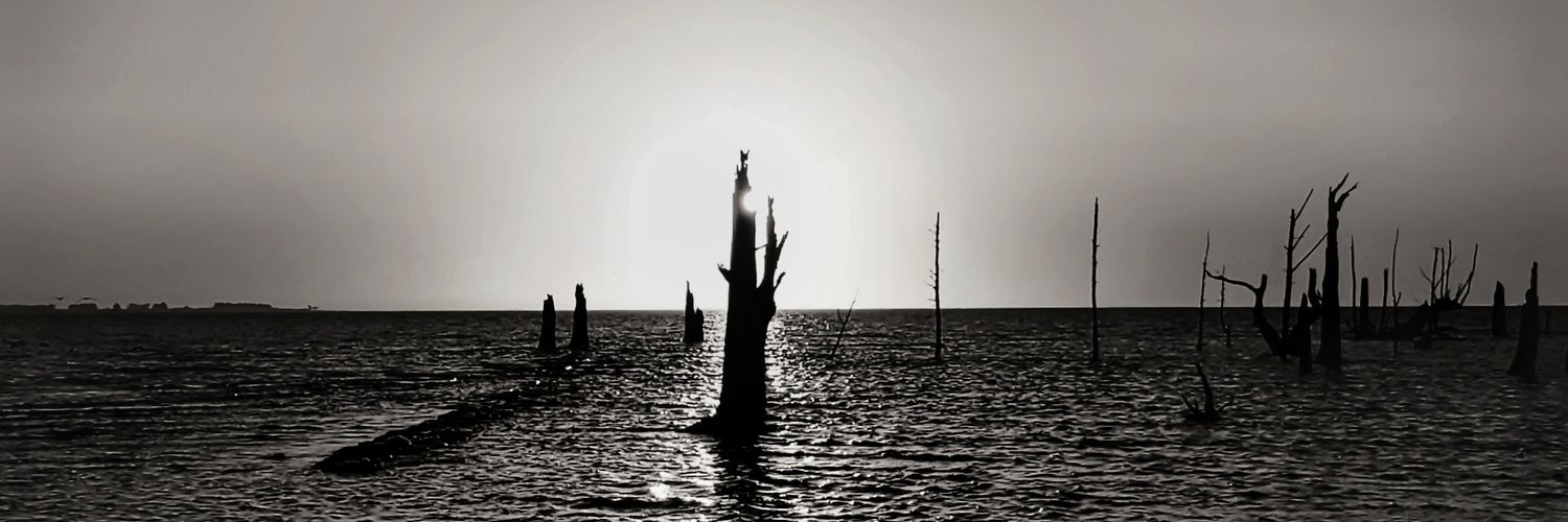 Buryua_13's profile banner image