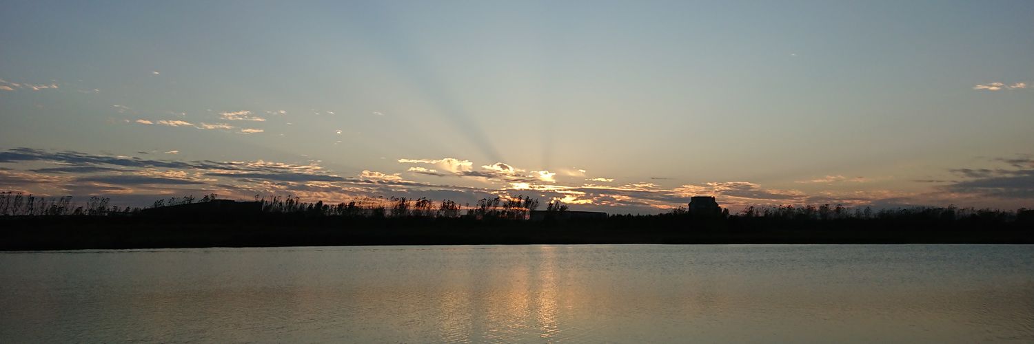 Wthdrawr's profile banner image