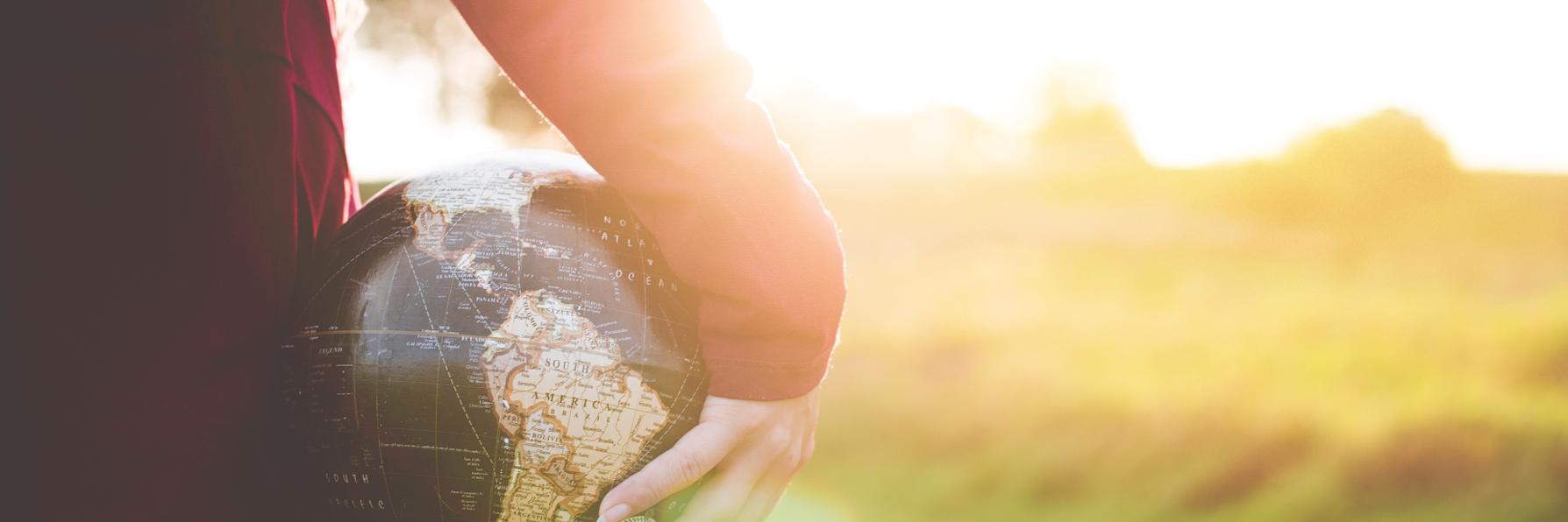 NetApp Globalization banner