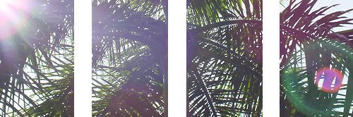 RomaneMMM's profile banner image